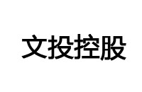 文投控股logo